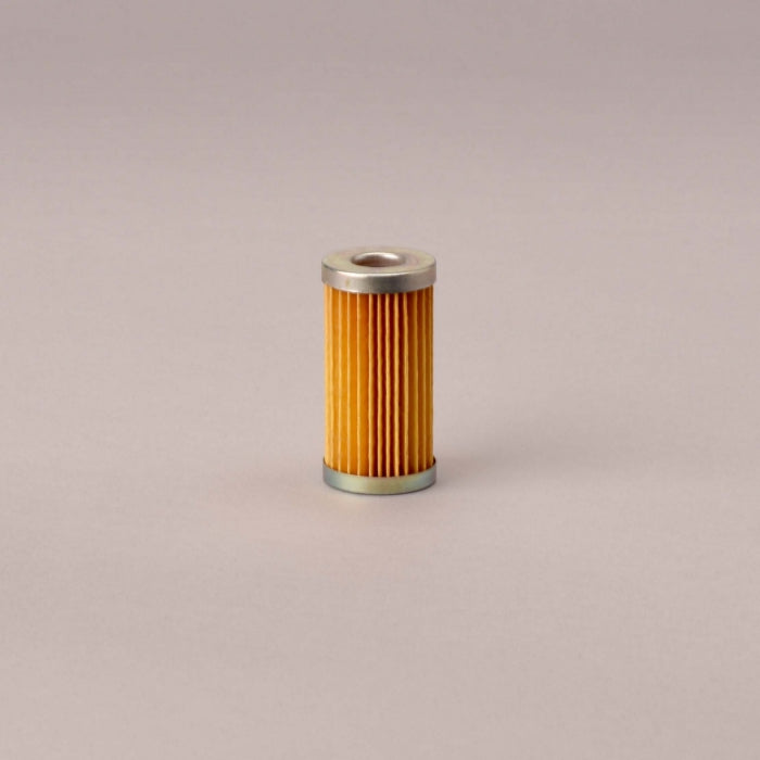 Fuel Filter Cartridge (FORD SBA360720020)