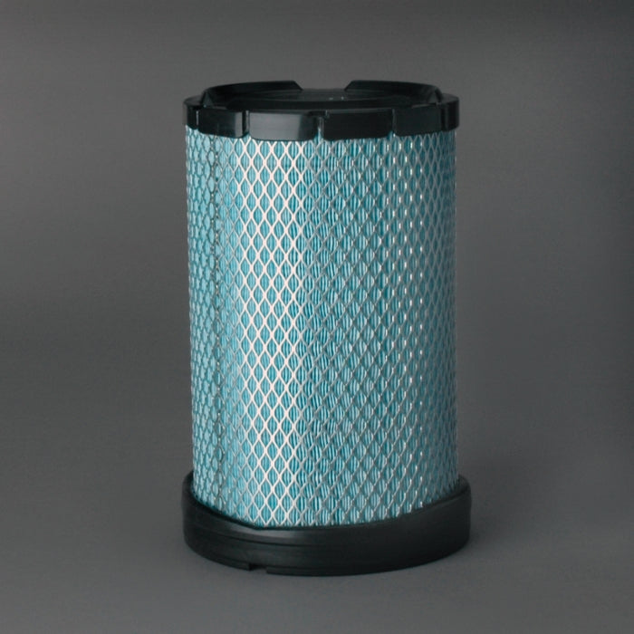 Air Filter Radialseal Safety