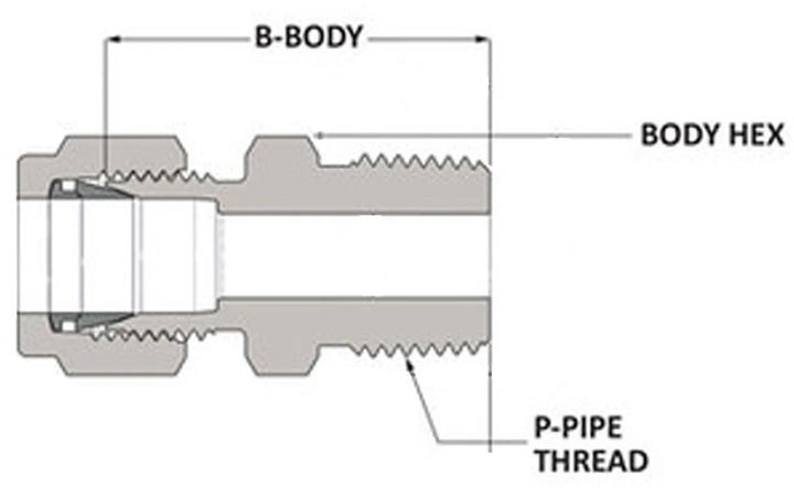 Brass Male Connector Fitting 3/8" x 1/2" (Set of 5)