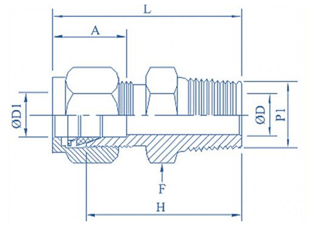 Brass Male Connector 1/2" X 3/8" (Set of 5)