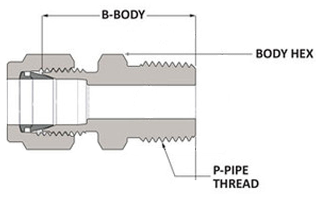 Brass Male Connector 1/2" x 3/8" (No Sealant)