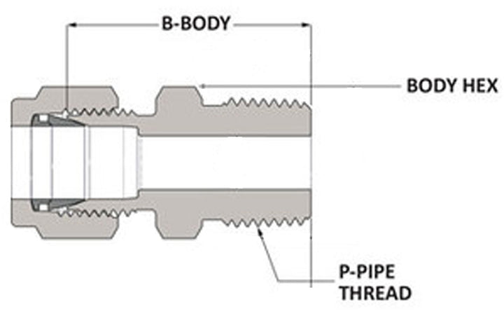 Brass Male Connector 1/2" x 3/8" (No Sealant)