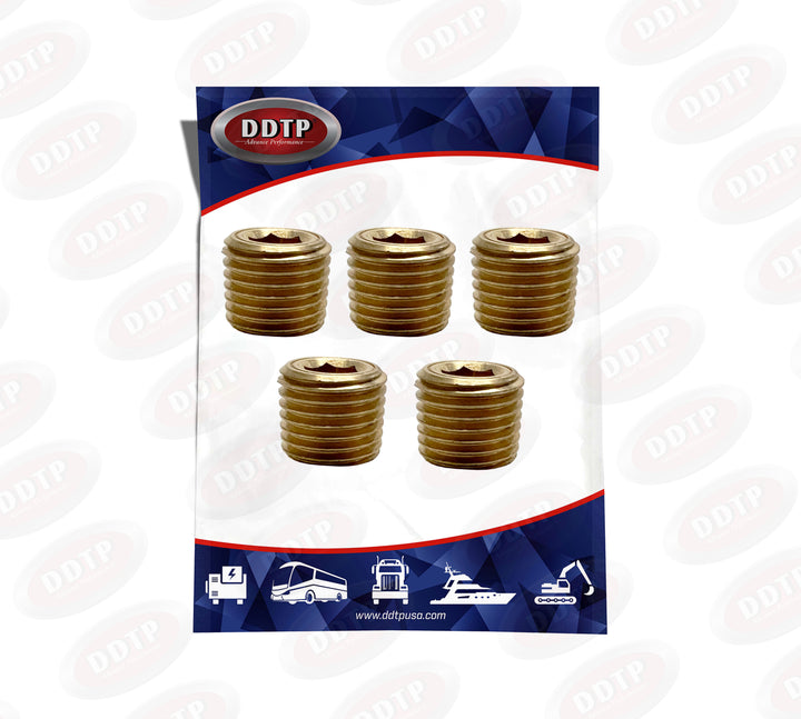 Hex Socket Plug 1/4"NPT (Set of 5)