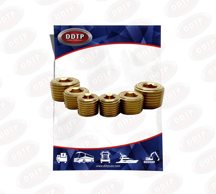 Hex Socket Plug Kit (2 - 1/4" + 2 - 3/8" + 2 - 1/2") NPT