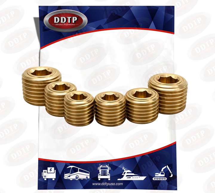 Kit de tapón de enchufe hexagonal (2 - 1/4" + 2 - 3/8" + 2 - 1/2") NPT